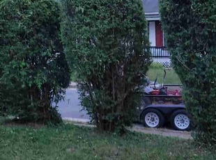 Bush Trimming by Mike Williams for Rose W. in Richmond, VA