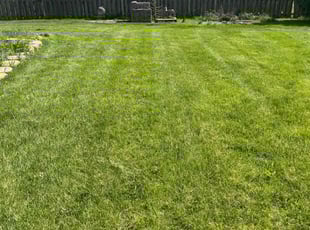 Rose A.'s Lawn Service service result