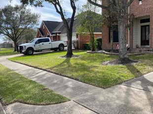 Leaf Removal by Agapito Rivera for Che B. in Pearland, TX