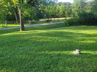 Amanda z.'s Lawn Service service result