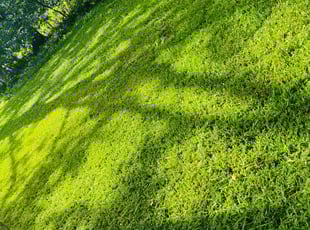 Josh l.'s Lawn Service service result