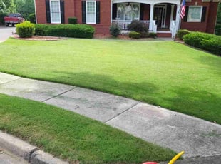 Emanuell L.'s Lawn Service service result