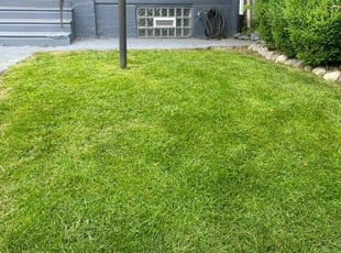 Mikea W.'s Yard Cutting service result