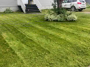 Kim M.'s Lawn Mowing service result