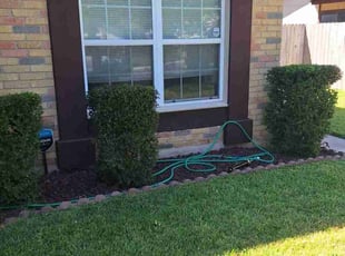 Brian H.'s Lawn Mowing service result
