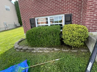 Bush Trimming by Ted Ostavitz for Markus J. in Florence, KY