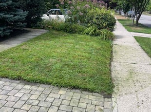 Theresa C.'s Lawn Mowing service result