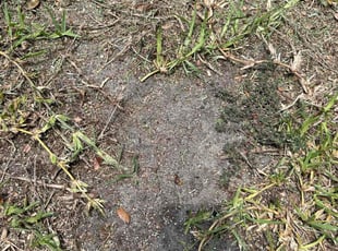 Aeration by Charles Howard for Patrick M. in Land O' Lakes, FL