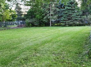 Lance W.'s Lawn Mowing Service service result
