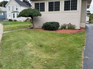 Wayne G.'s Lawn Care service result