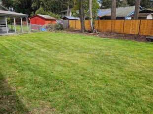 Rosalyn W.'s Lawn Care service result
