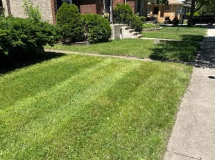 Andrew M.'s Lawn Service service result