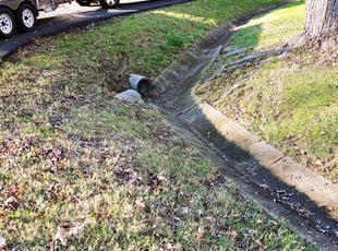 Leaf Removal by Chris Thomas for Casey H. in Richmond, VA