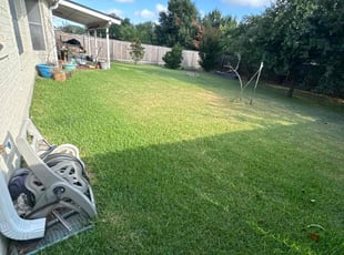 Cora S.'s Lawn Care service result