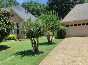 Bush Trimming by Chris Gant for Sharon T. in Memphis, TN