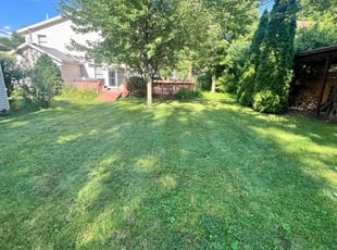 Jess C.'s Grass Cutting service result