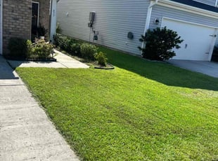 Sharon D.'s Lawn Mowing service result