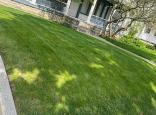Leaf Removal by Michael Williams for Tim B. in Milwaukee, WI