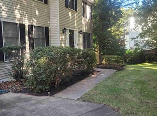Bush Trimming by Rosemary Valle for Chloe M. in Herndon, VA