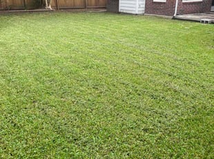 Robert W.'s Lawn Service service result