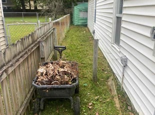 Cleanups by Jake Knupp for Mike D. in Virginia Beach, VA