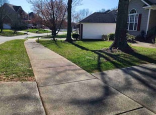 Richard R.'s Lawn Service service result