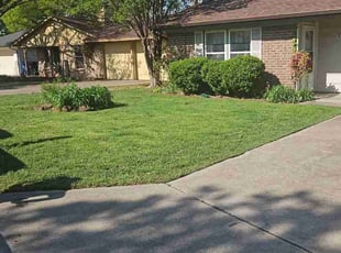 Lori M.'s Lawn Mowing Service service result
