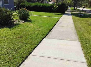 Bruce H.'s Lawn Mowing Service service result