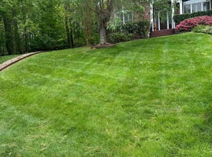 Jean M.'s Lawn Mowing service result