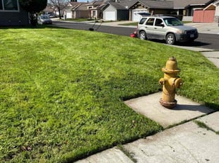 Jeff S.'s Lawn Mowing service result