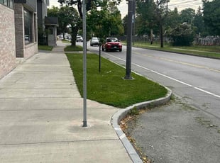 Keith N.'s Grass Cutting service result