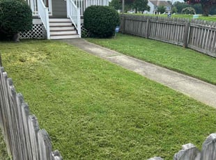 Bush Trimming by Davon Lightfoot for Madeline F. in Richmond, VA