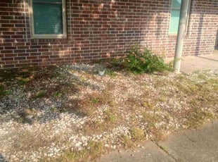 Weeding by Karushoun Kelly for Chris W. in North Little Rock, AR