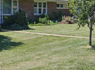 Djon C.'s Lawn Service service result
