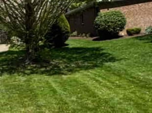 Chris H.'s Lawn Service service result