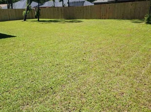 Alexis B.'s Lawn Service service result