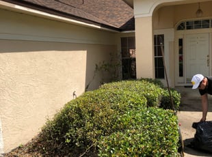 Bush Trimming by Brandon Mcgiboney for Michael B. in Orlando, FL