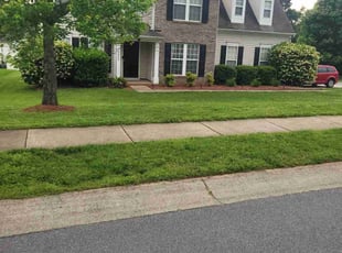 Sylvia T.'s Lawn Service service result