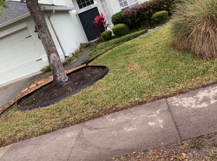Leaf Removal by Christopher Bradley for Maria d. in Orlando, FL