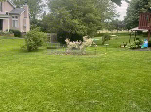 Belinda E.'s Lawn Service service result