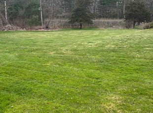 April C.'s Lawn Care service result