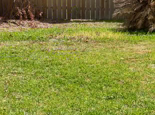 Cleanups by Derrick Koontz for Marshall P. in Houston, TX
