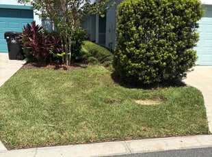 Brandon W.'s Lawn Care service result