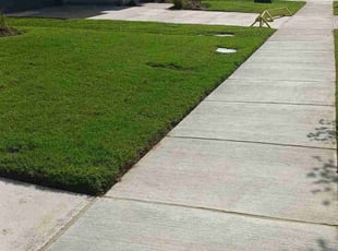 Arthurine W.'s Lawn Care service result
