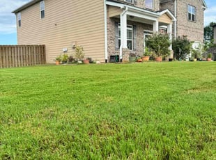 Tori P.'s Lawn Mowing service result