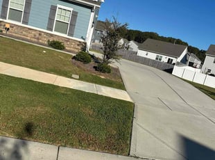 Elspeth H.'s Lawn Mowing service result