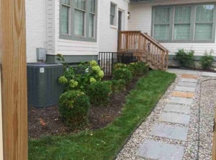 Bush Trimming by Ryan Turner for Dan M. in Nashville, TN