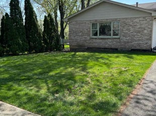 Stephen S.'s Lawn Mowing service result