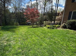 Byron E.'s Lawn Mowing service result