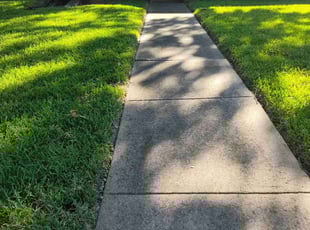 Roxie A.'s Grass Cutting service result
